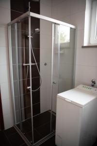 eine Dusche mit Glastür im Bad in der Unterkunft Appartements Clementina in Premantura