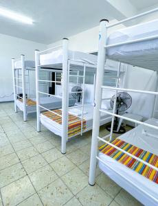 Palanda nebo palandy na pokoji v ubytování Vive Alegria Hostel