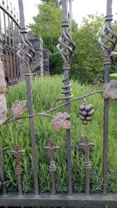 a metal fence with grapes on it in a garden at Kámán Nyaraló in Badacsonytomaj