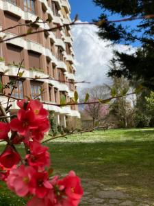 Widok na góry z tego apartamentu