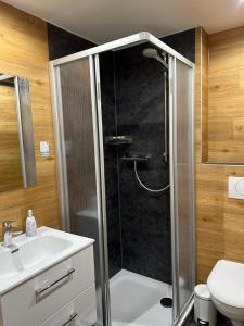 a bathroom with a shower and a sink at Pension Hönel-Hof Bad Schandau in Bad Schandau