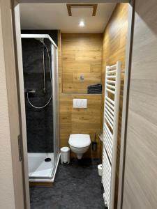 a small bathroom with a toilet and a shower at Pension Hönel-Hof Bad Schandau in Bad Schandau