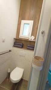 a small bathroom with a toilet and a window at Le Raffiné in Millau +24 photos