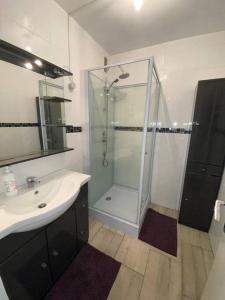 W łazience znajduje się szklana kabina prysznicowa i umywalka. w obiekcie Appartement Gien w mieście Gien