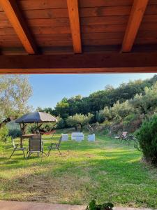 patio z krzesłami i parasolem na polu w obiekcie VILLA in 8 ettari di campagna, a 20' dal mare w mieście Casa Piccirillo