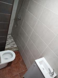 ein Bad mit einem WC und einem Waschbecken in der Unterkunft Bom Caminho in Arrifana