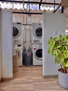 een wasruimte met wasmachines en een plant bij Apartamentos céntricos y cómodos en Chapinero in Bogota