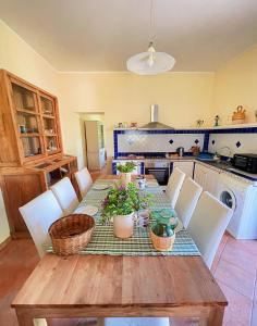 una cocina con una mesa de madera con plantas. en VILLA in 8 ettari di campagna, a 20' dal mare, en Casa Piccirillo