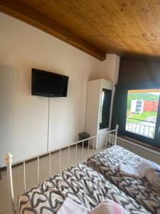 um quarto com uma cama e uma televisão de ecrã plano na parede em BellaVista Cureglia em Cureglia