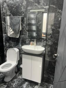 a bathroom with a toilet and a sink at Saryan 2 in Yerevan