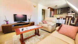 un soggiorno con TV, divano e tavolo di Apartment Home Popovic a Žabljak