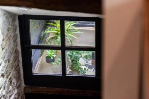 SOUS LE HAUT DES REMPARTS في بون: نافذة مع مجموعة من النباتات الفخارية