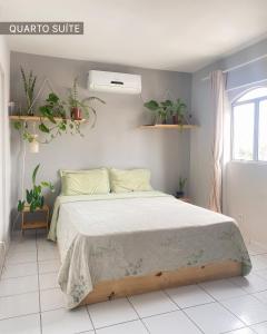 een slaapkamer met een bed met planten aan de muur bij Refúgio Urbano in Campina Grande