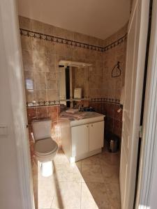 un baño con inodoro y lavabo en La Chambre du Saunei, en Castelnau-de-Guers