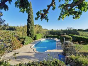einen Pool in einem Garten mit einem Baum in der Unterkunft La Chambre du Saunei in Castelnau-de-Guers