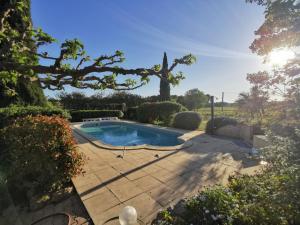 einen Hinterhof mit einem Pool und einem Baum in der Unterkunft La Chambre du Saunei in Castelnau-de-Guers