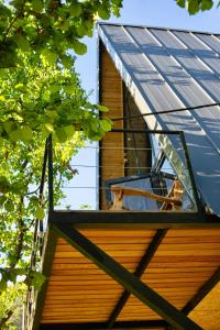 Merisi的住宿－GreenWood Cottages Merisi，窗户,靠在房子的一边,有太阳能屋顶