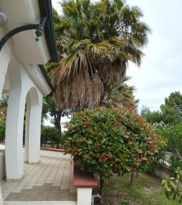 um banco em frente a um edifício com palmeiras em IL NIDO DELLE RONDINI em Manfredonia