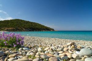 a rocky beach with purple flowers and the ocean at Sundowner Home in Marongiu
