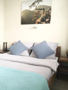 um quarto com uma cama com almofadas azuis e brancas em Secret Apartament 1 Poznań em Poznań