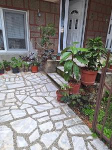 Galería fotográfica de Apartments Meshko en Ohrid