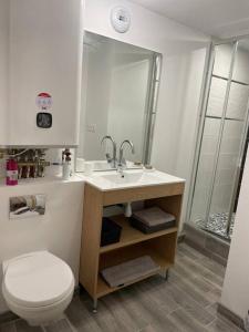 een badkamer met een toilet, een wastafel en een spiegel bij Appartement RDC avec extérieur in Granville