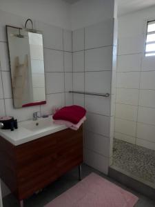 勒迪亚芒Beau duplex de standing, 120m2, vue mer, 4min plage的带水槽和淋浴的浴室（带镜子）