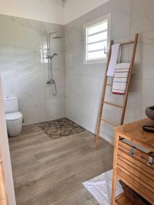 ein Bad mit einer Dusche und einem WC in der Unterkunft GÎTE de GUADELOUPE in Petit-Bourg