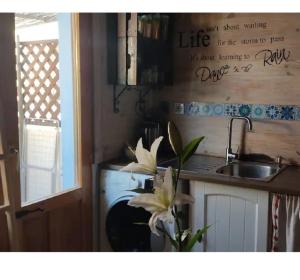 a kitchen with a sink and a counter with a flower at Casita Mona y Acogedora in Alaquas