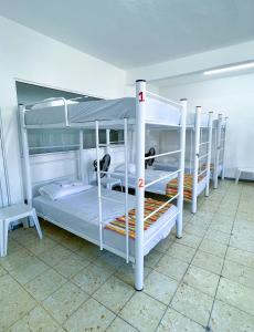 Palanda nebo palandy na pokoji v ubytování Vive Alegria Hostel