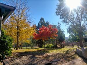 a park with trees with the sun in the background at Riverbend Homestead in Bright