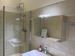 een badkamer met een douche, een wastafel en een spiegel bij Tea Liu Apartment in Boedapest