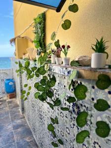 a wall with several potted plants on it at Charmant Appartement vue sur mer in Alger