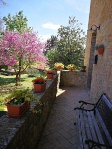 un mur en pierre avec des plantes en pot et un banc dans l'établissement CASA VACANZE CLAUDIA- 10 min da Siena, à Malignano