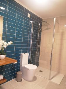 a bathroom with a toilet and a shower with blue tiles at Apartamento São Miguel - Santa Catarina Place in Ponta Delgada