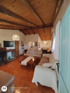 圣拉斐尔洛杉托克斯木屋酒店的带沙发和壁炉的客厅