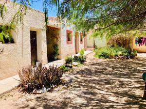 a courtyard of a building with plants and trees at Estación de sueños Casa de Silvia in San Rafael de las Torres