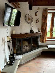 a living room with a fireplace and a tv at Romantische Oase mit Kamin in Unterseen