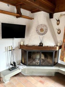ein Wohnzimmer mit einem Kamin und einem Flachbild-TV in der Unterkunft Romantische Oase mit Kamin in Unterseen