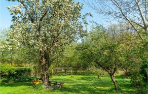 Κήπος έξω από το 2 Bedroom Pet Friendly Home In Samsø
