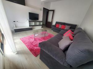 een woonkamer met een grijze bank en een roze tapijt bij Piso termal in Ourense