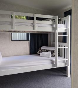 um beliche com 2 beliches num quarto em Fitzroy Beach Holiday Park em New Plymouth