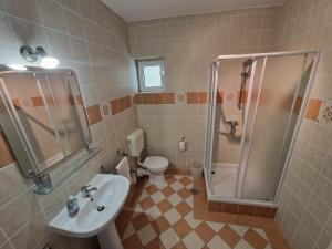 ein Bad mit einer Dusche, einem Waschbecken und einem WC in der Unterkunft Villa Gabriel in Pag