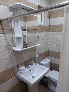a bathroom with a sink and a toilet and a mirror at Dili Dom in Dilijan