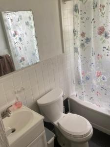 a bathroom with a toilet and a sink and a shower curtain at Two bedroom flat with fire place in Detroit