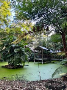 绿洲一英里海滩公寓外面的花园