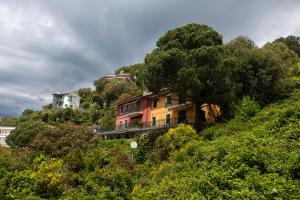 une maison au sommet d'une colline avec des arbres dans l'établissement 079 - La Villa storica Il Vigneto 45A, 7 minuti dal mare - Parcheggio privato GRATIS, à Moneglia
