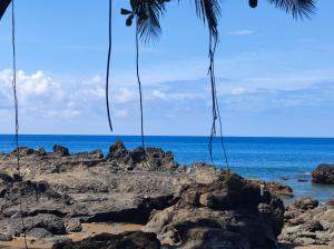 - une vue sur l'océan depuis une plage de rochers dans l'établissement Domito Corcovado, à Drake