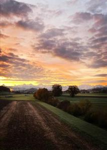 un camino de tierra en un campo con una puesta de sol en Pipin’s Studio en Ostermundigen