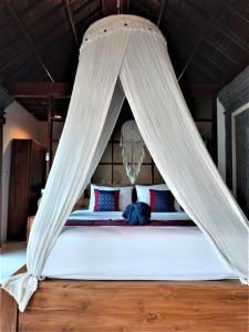a bedroom with a bed with a mosquito net at Baruna Sari Villa yoga and reatret view jungle in Ubud +94 photos